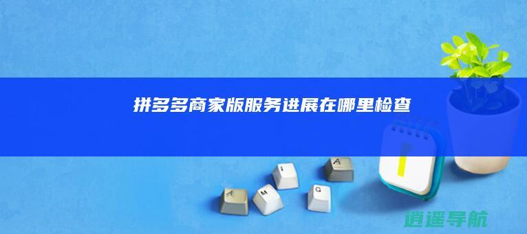 拼多多商家版服务进展在哪里检查