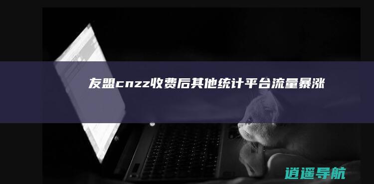 友盟cnzz收费后 其他统计平台流量暴涨