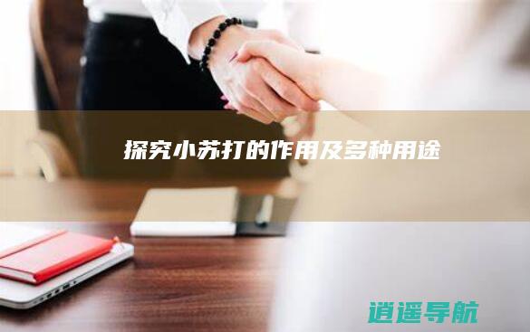 探究小苏打的作用及多种用途