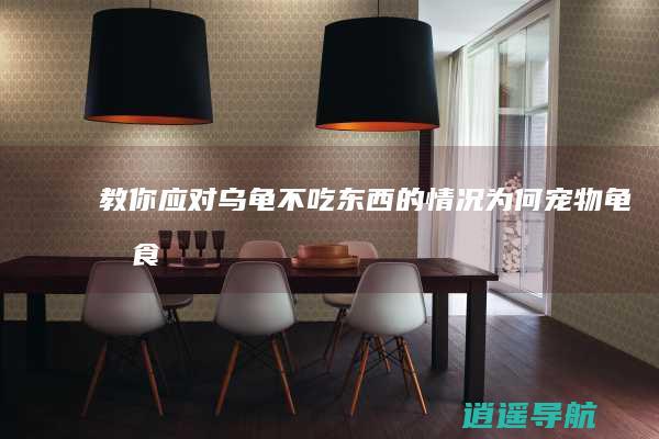 教你应对乌龟不吃东西的情况 为何宠物龟挑食