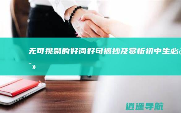 无可挑剔的好词好句摘抄及赏析 初中生必读