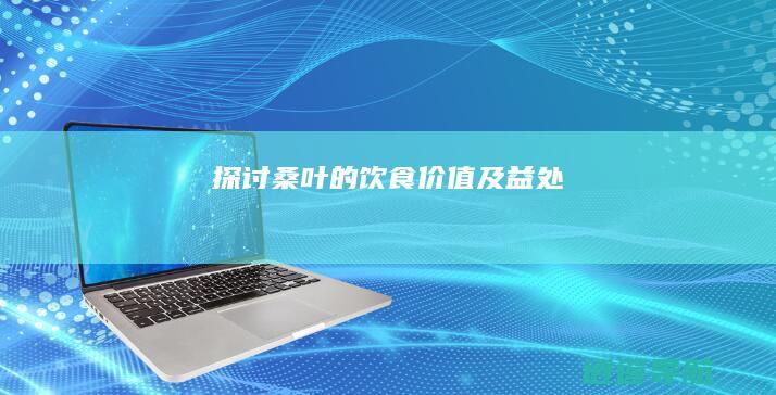 探讨 桑叶的饮食价值及益处