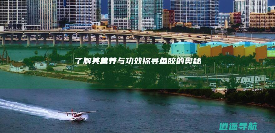 了解其营养与功效 探寻鱼胶的奥秘