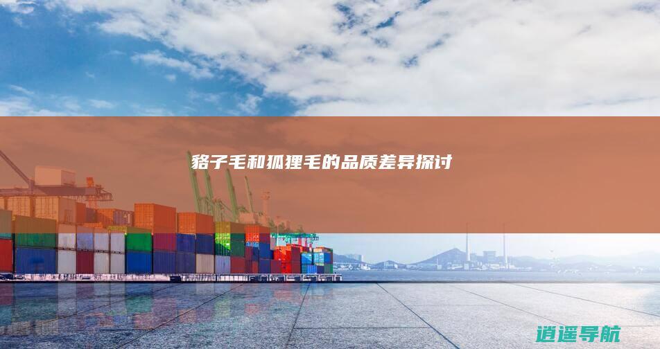 貉子毛和狐狸毛的品质差异 探讨