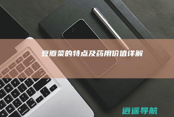 豆瓣菜的特点及药用价值详解
