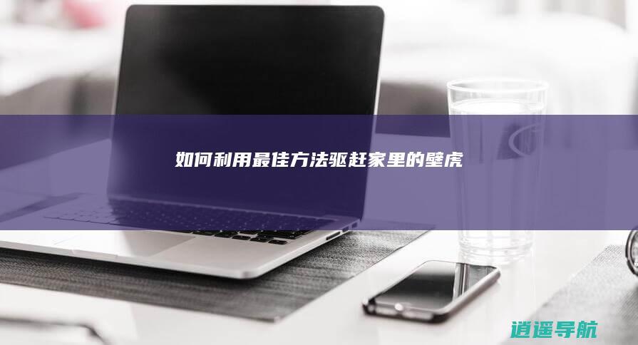 如何利用最佳方法驱赶家里的壁虎