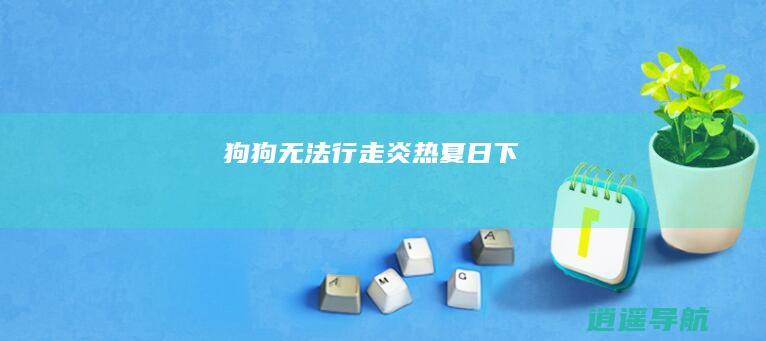 狗狗无法行走 炎热夏日下