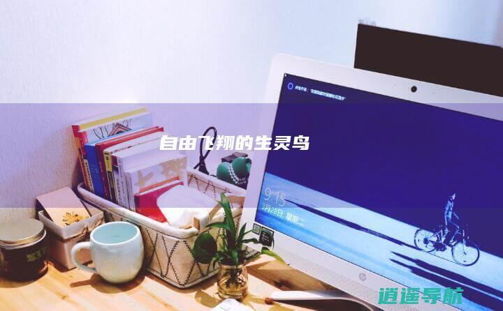 自由飞翔的生灵——鸟