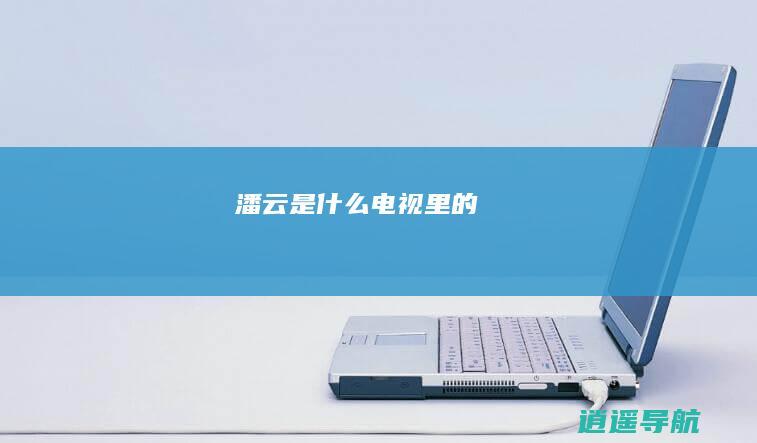 潘云是什么电视里的