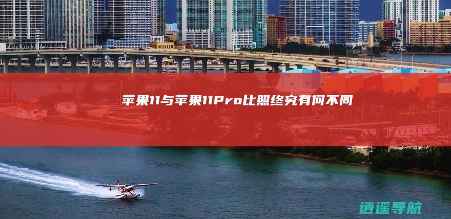 苹果11与苹果11 Pro比照 终究有何不同